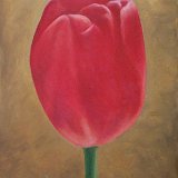 Rose rot 50 x 100 cm